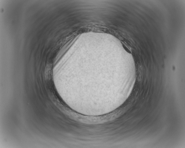 X0000086080034200704202202