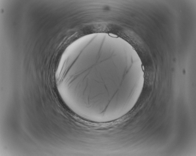 X0000086080035200704202202