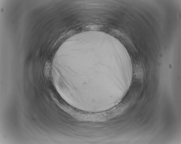 X0000086080036200704202202