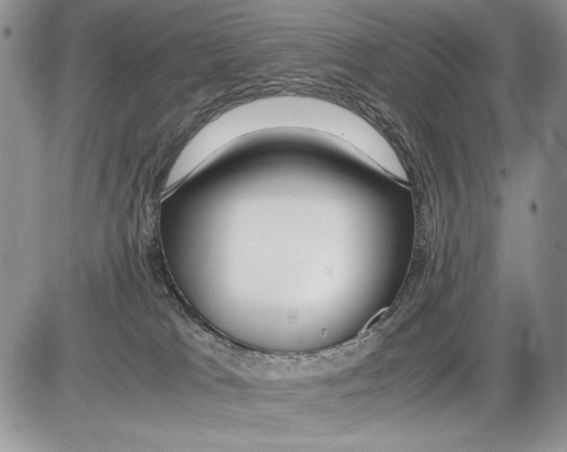 X0000086080037200704202202