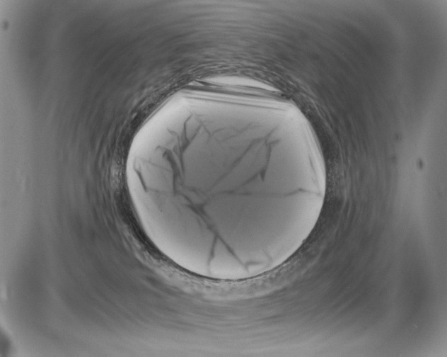 X0000086080039200704202202