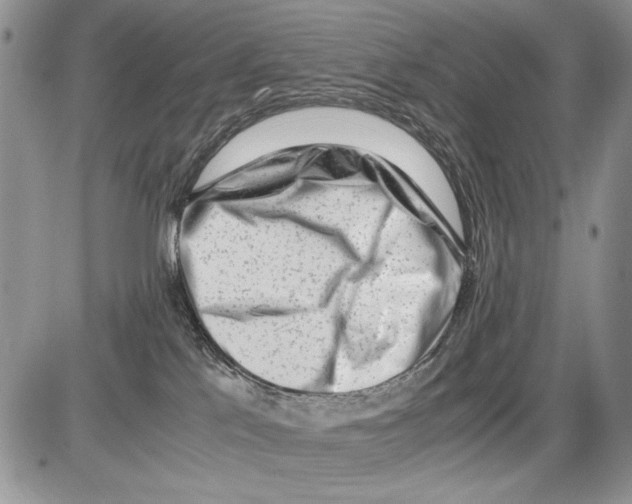 X0000086080041200704202202