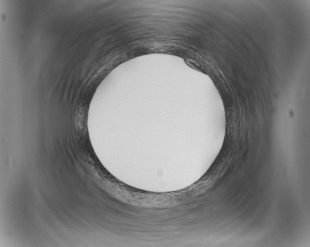 X0000086080044200704202202