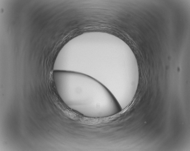 X0000086080045200704202202