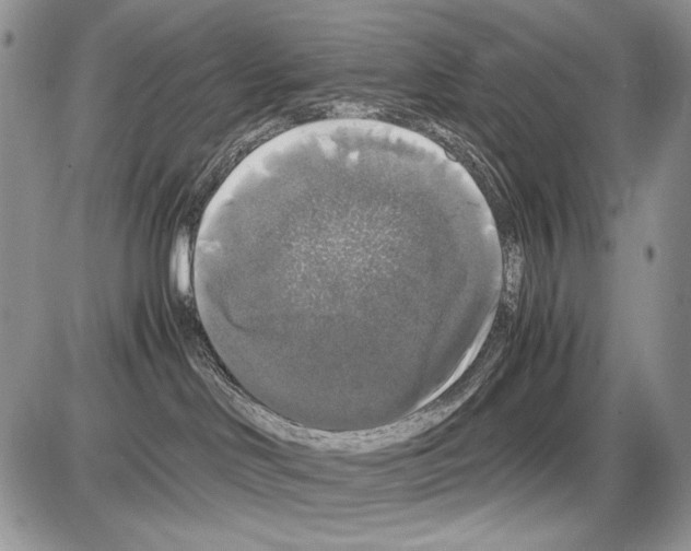 X0000086080046200704202202