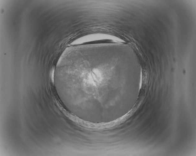 X0000086080047200704202202