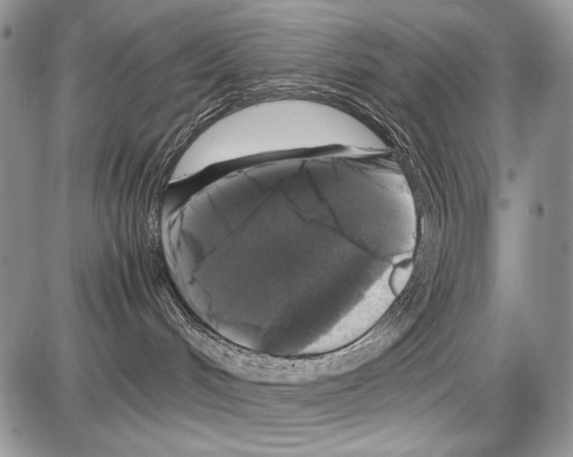 X0000086080048200704202202