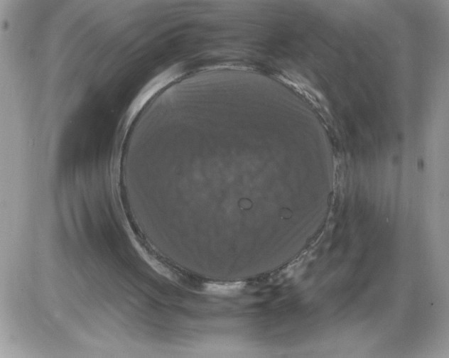 X0000086080051200704202201