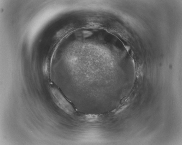 X0000086080052200704202201