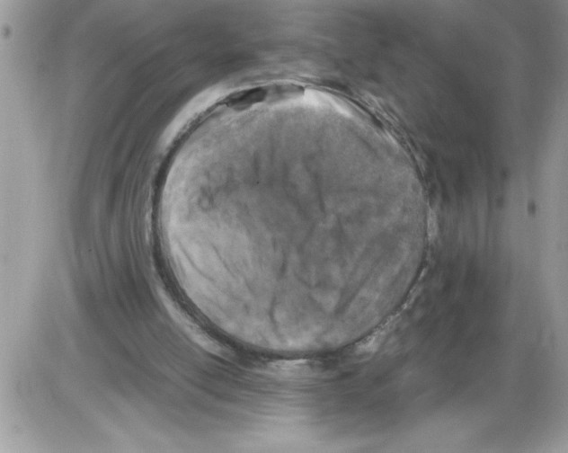 X0000086080054200704202201