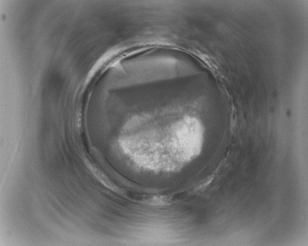 X0000086080056200704202201