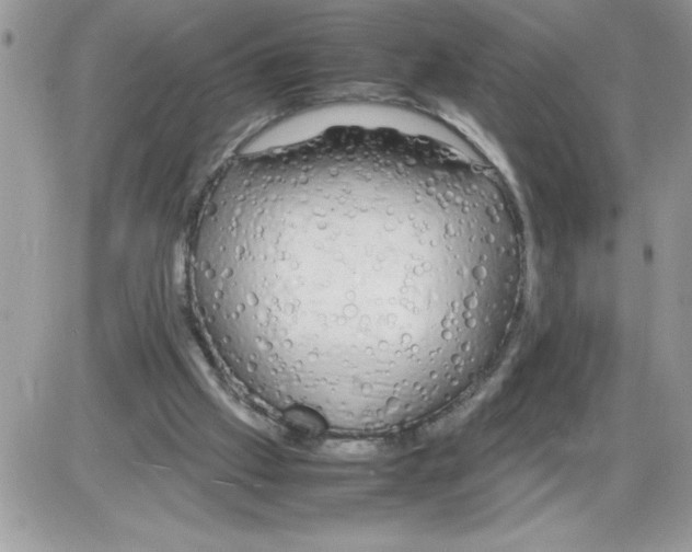 X0000086080057200704202201