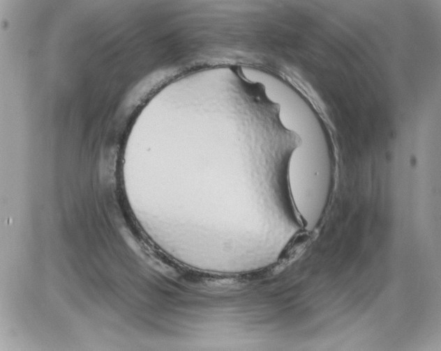 X0000086080058200704202201