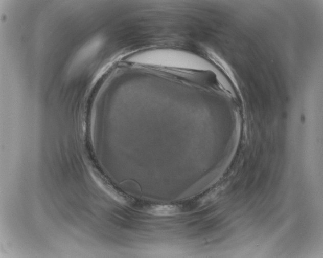 X0000086080059200704202201