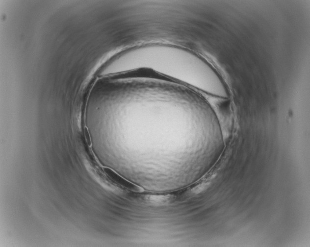 X0000086080060200704202201