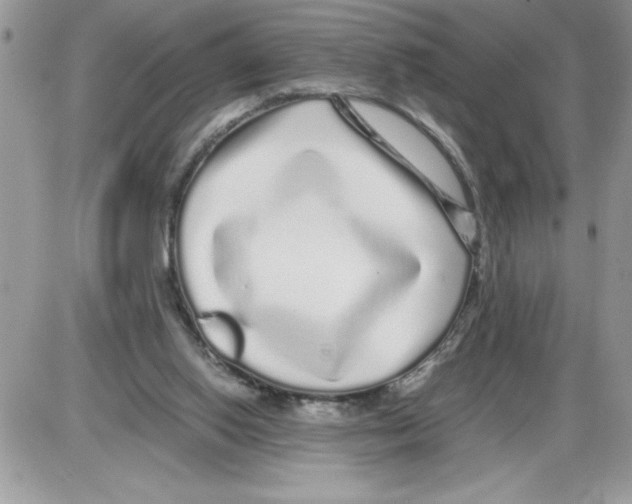 X0000086080062200704202201