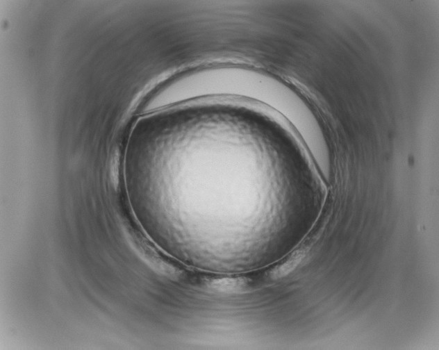 X0000086080064200704202201