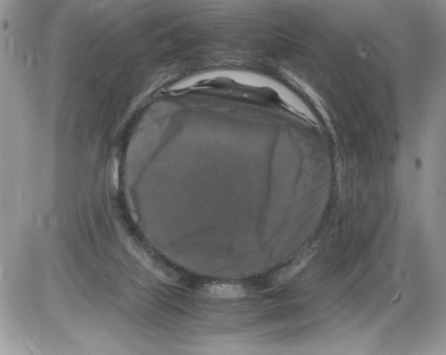 X0000086080067200704202201