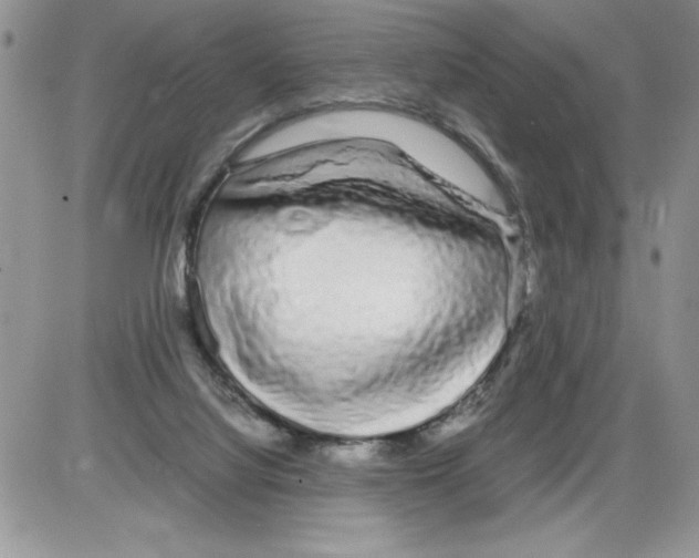 X0000086080068200704202201