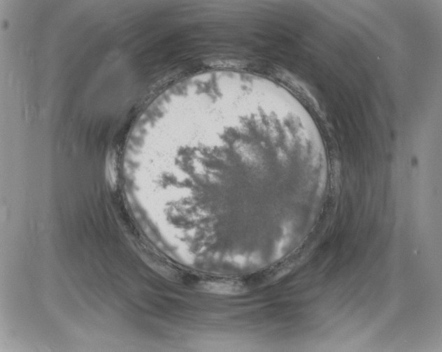 X0000086080069200704202201