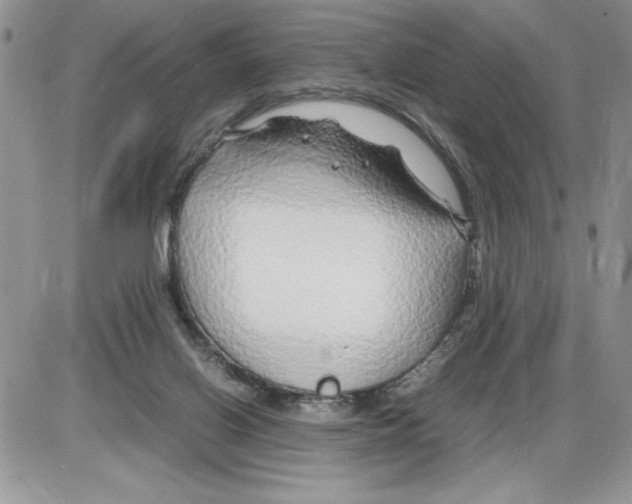 X0000086080070200704202201