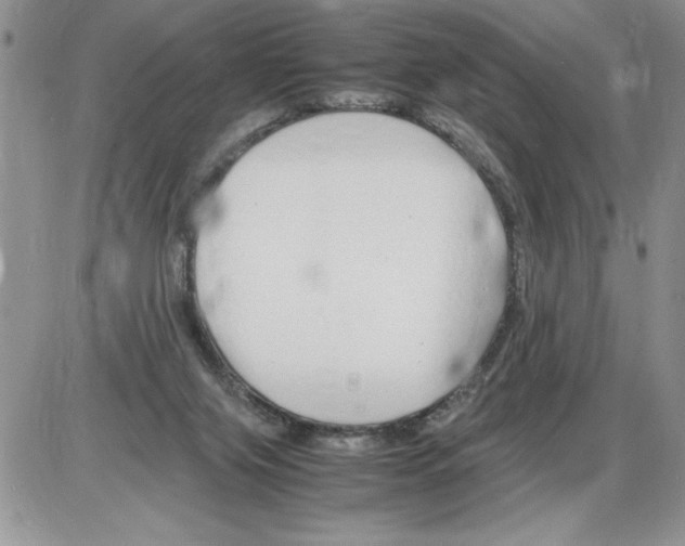 X0000086080071200704202201