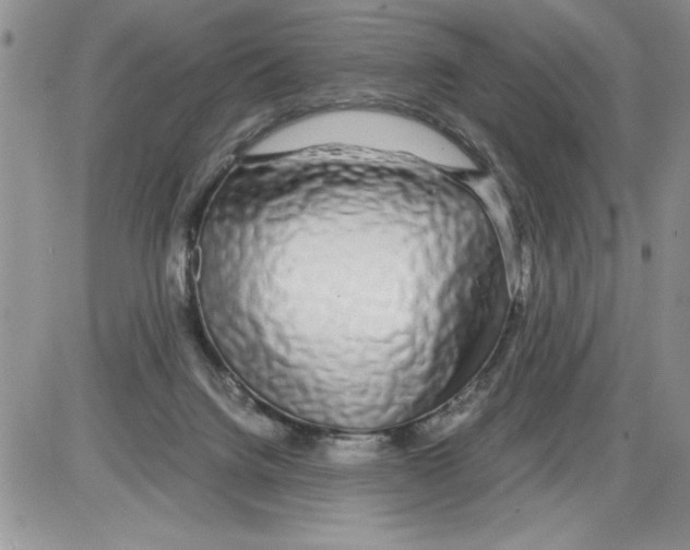 X0000086080072200704202201