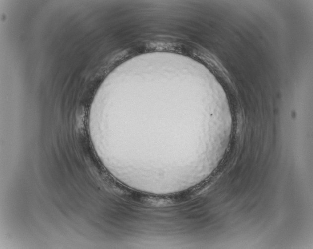 X0000086080073200704202201