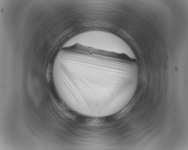 X0000086080074200704202202