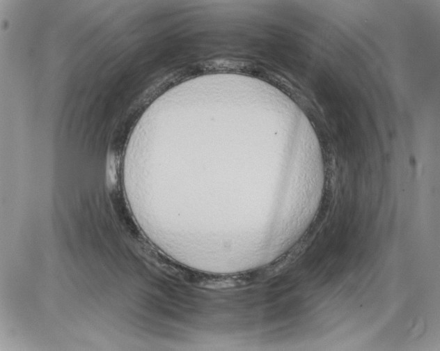 X0000086080075200704202202