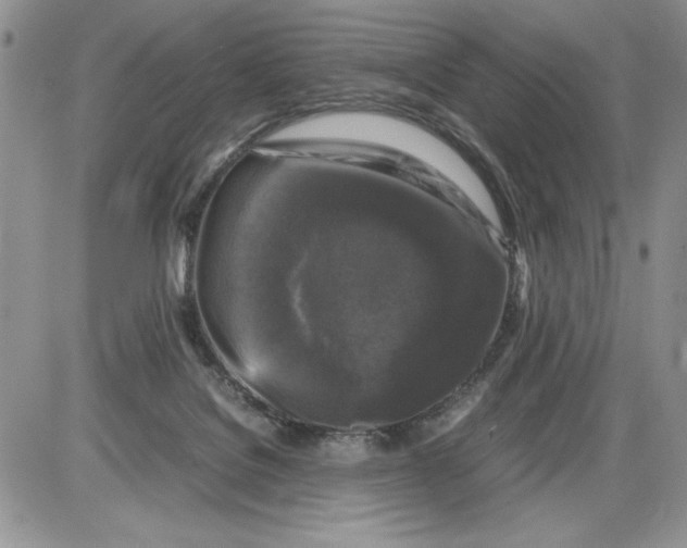 X0000086080076200704202202