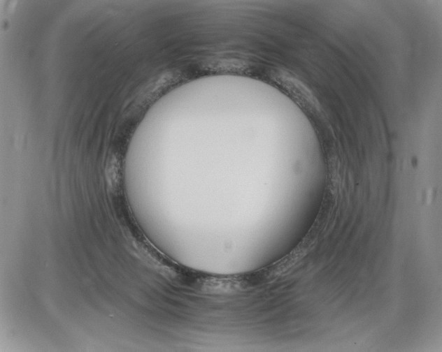 X0000086080077200704202202