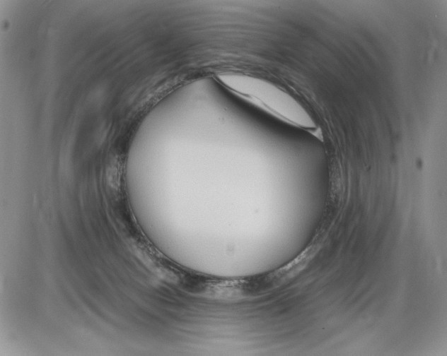 X0000086080078200704202202