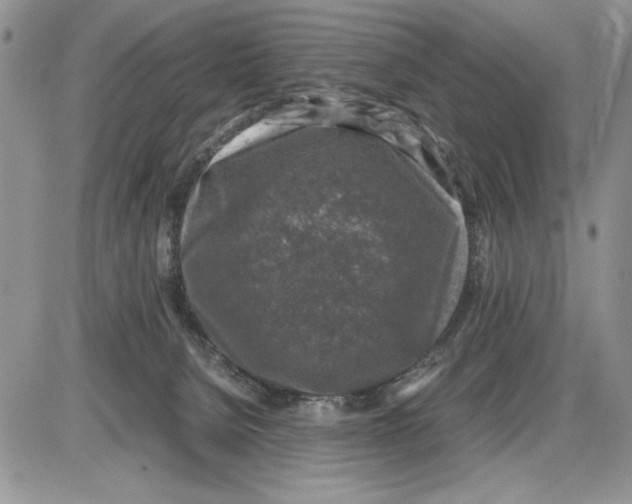 X0000086080080200704202202