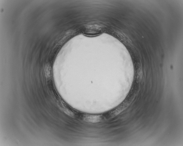 X0000086080081200704202202