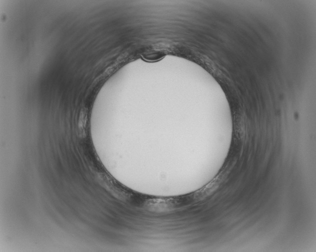 X0000086080082200704202202