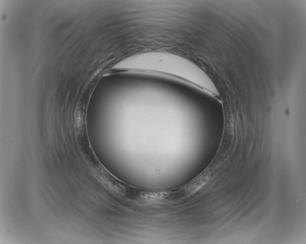 X0000086080084200704202202