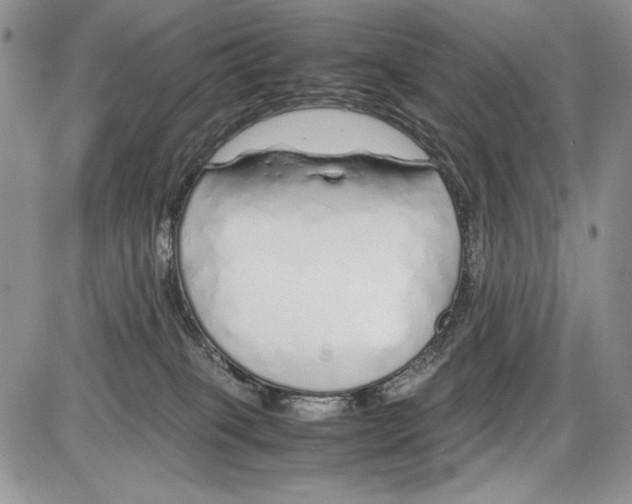 X0000086080085200704202202