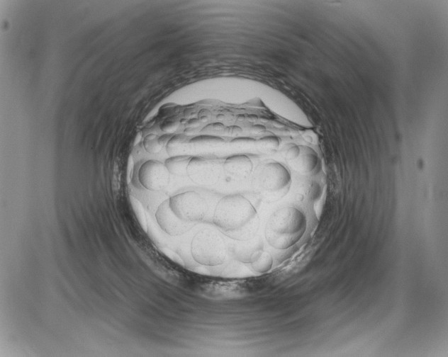 X0000086080086200704202202