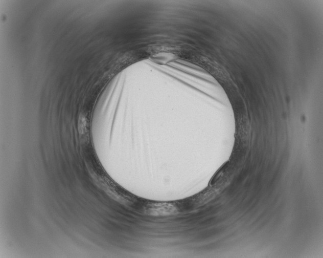 X0000086080087200704202202