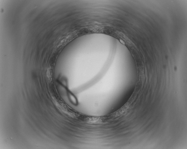 X0000086080088200704202202