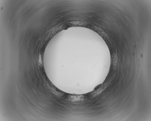 X0000086080089200704202202