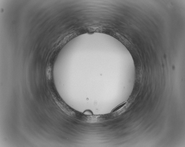 X0000086080090200704202202