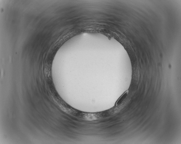 X0000086080091200704202202