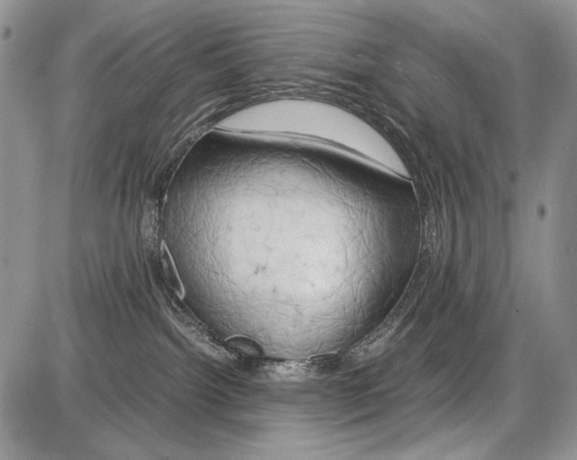 X0000086080092200704202202