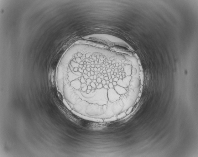 X0000086080094200704202202