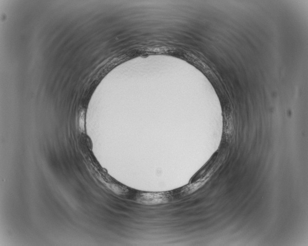 X0000086080095200704202202