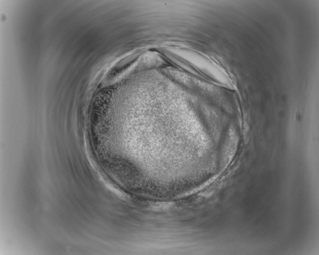 X0000086080097200704202201