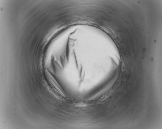 X0000086080098200704202201