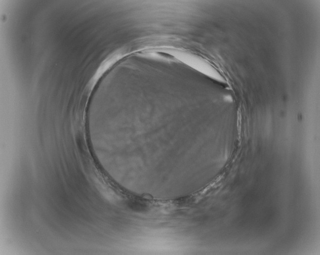 X0000086080099200704202201